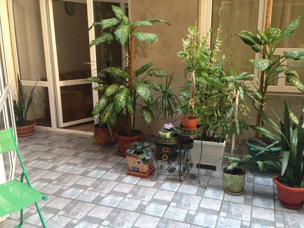 Фото Гостиницы Жемчужина Анапа 10